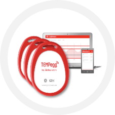 Image of TempEgg logo with computer behind
