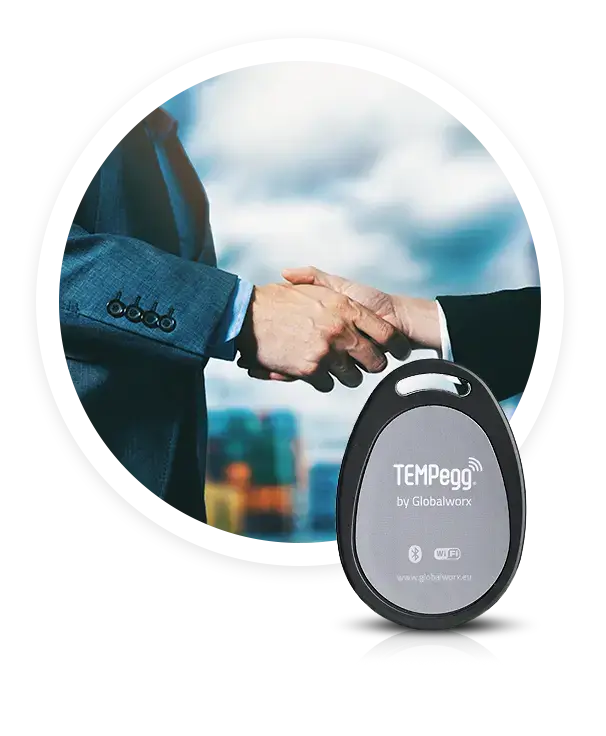 Image of the globalworx Tempegg device